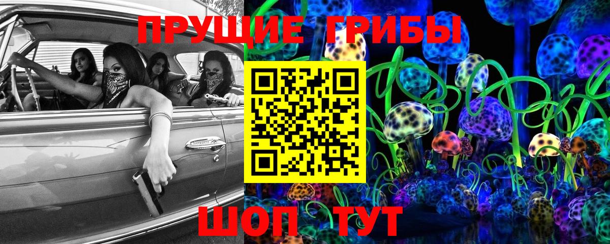 Псилоцибиновые грибы Psilocybe Киров
