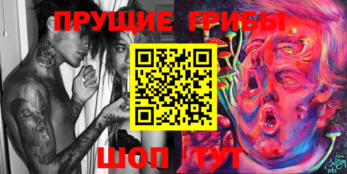 Псилоцибиновые грибы Psilocybe  Киров  Псилоцибиновые грибы прущие грибы 